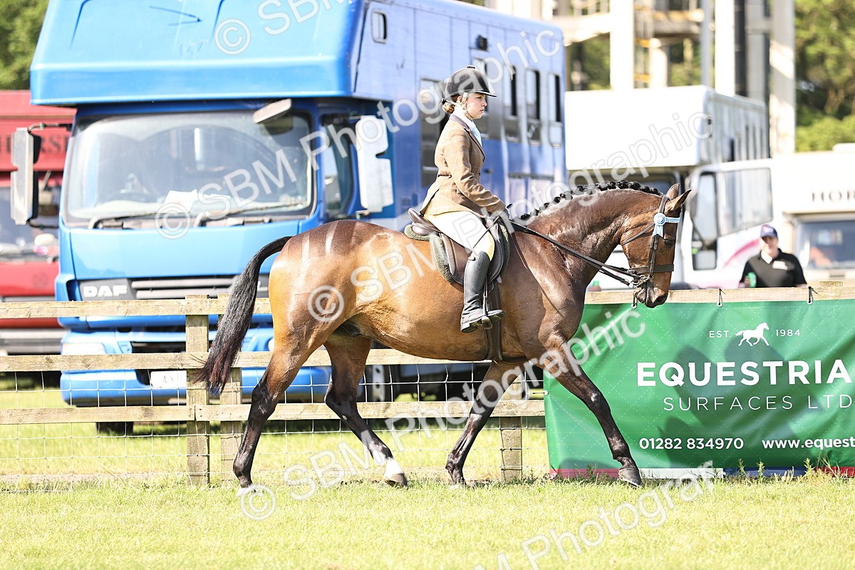 SBM_12889 - Class 75-76 LIHS BSHA Rising Star Hack Riding Horse