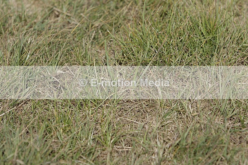 BVHT 140517 I-594 - Class 1 SJ Intermediate 14/05/17