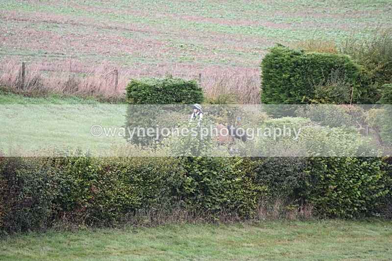 WJ6_1368 - Time 10:05 to 10:30  (3 cameras)