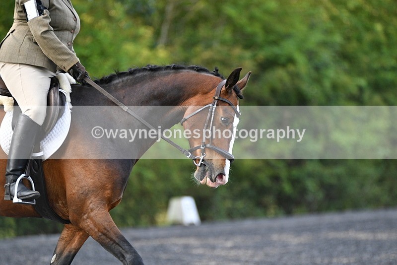 WJ5_8632 - Time 09:00 to 09:23