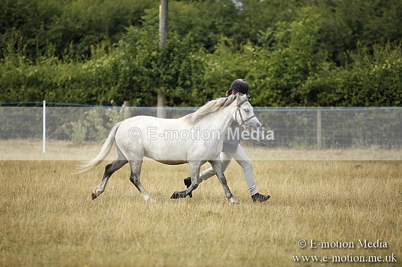 _C7A9209 - BVRC Sow 2018 Ring 2