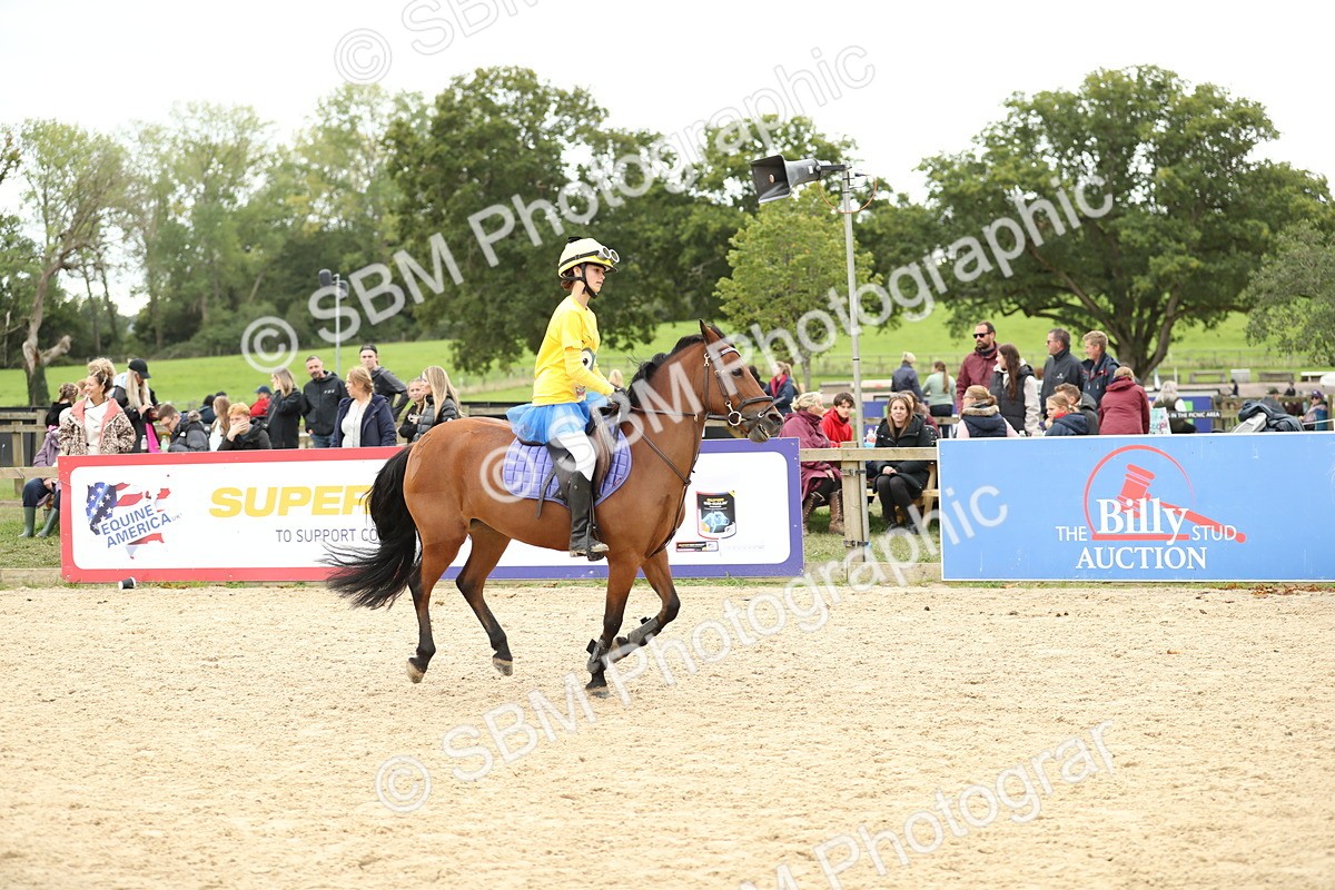 SBM_66120 - J48 - Pairs Jumping Open 70cm & 85cm