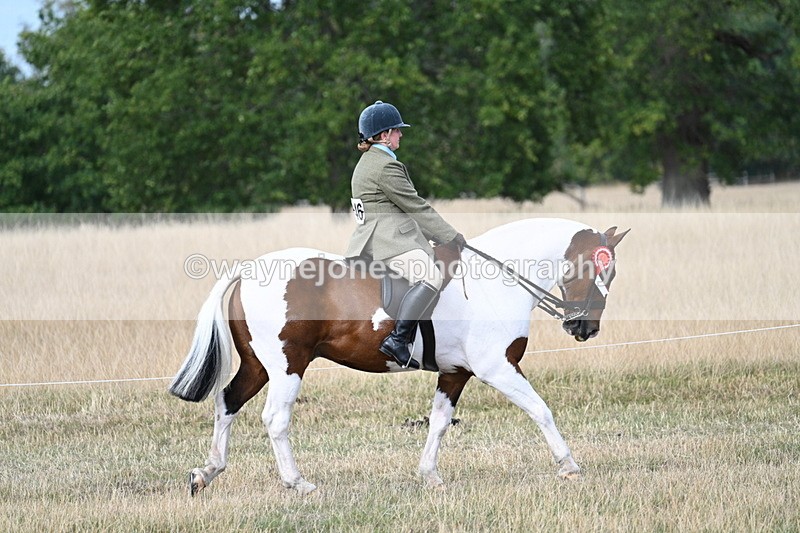 WJ7_7569 - Ridden Championship