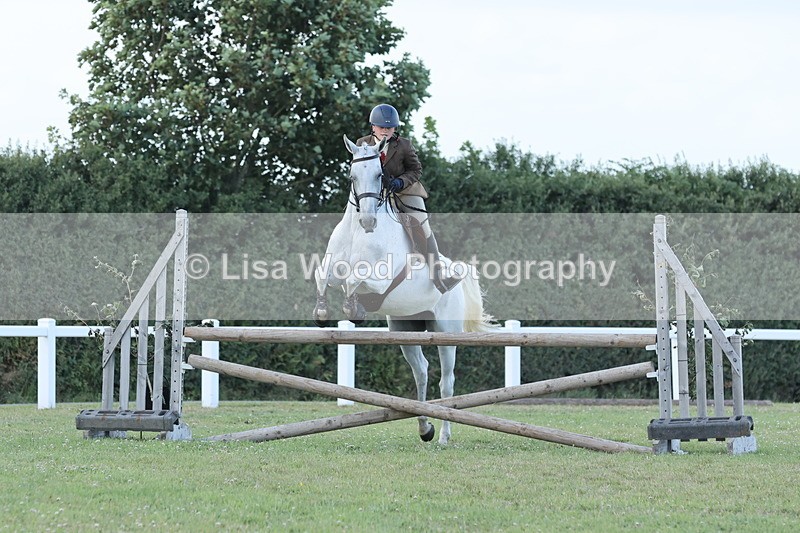 JPP_3628 - Class 24: Open Working Hunter