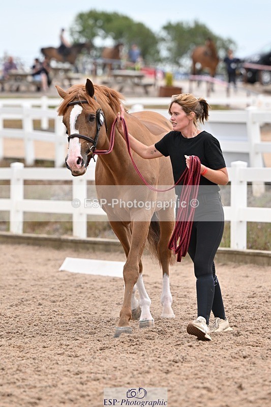 250716-155857-02312 - Trot Up 3.30 to 4.30