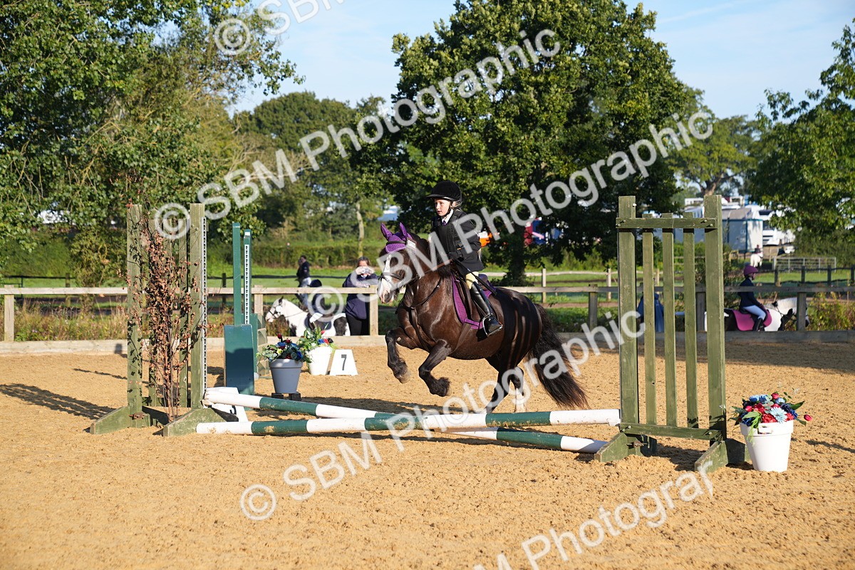 SBM_58984 - J63 - Minis Clear Round 30cm 40cm