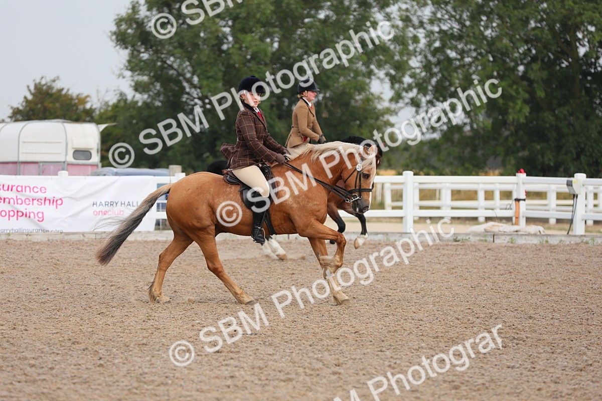 SBM_10023 - Class 302 Ridden M&M -Large Breeds