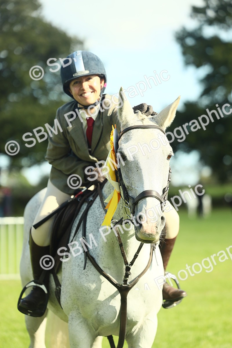 SBM_49929 - S32 - Novice & Newcomers Working Hunter