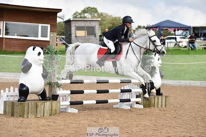 230902A-123742-01163 - Cls 3A Pony Medium 80cm