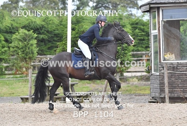 BPP_1104 - CLASS 7 Senior Foxhunter/ 1.20m Open