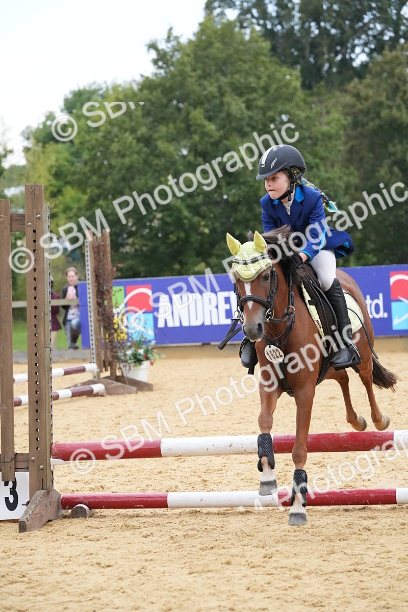 SBM_74530 - J4 - Mini Tour Junior Pony 45cm Championship
