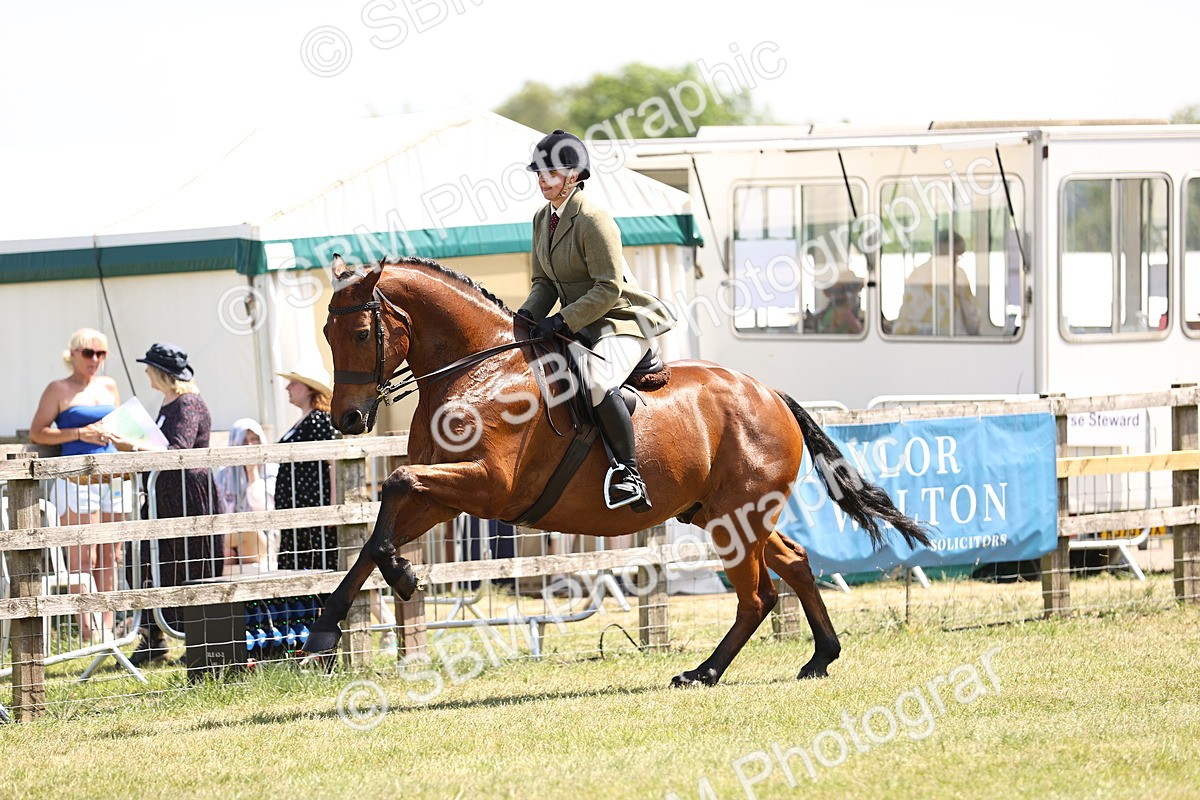 SBM_15110 - Class 79-80 - LIHS BSHA Rising Star Ridden Hunter