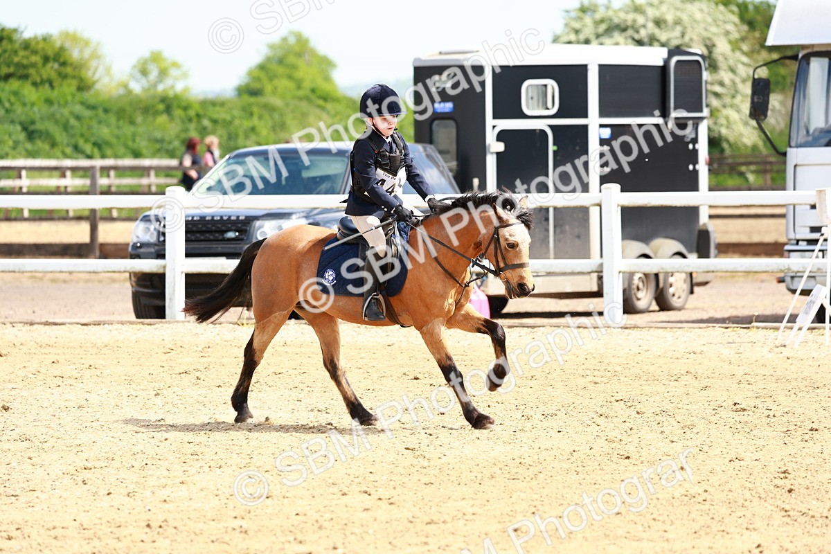 SBM_007875 - Class 3 - 60cm