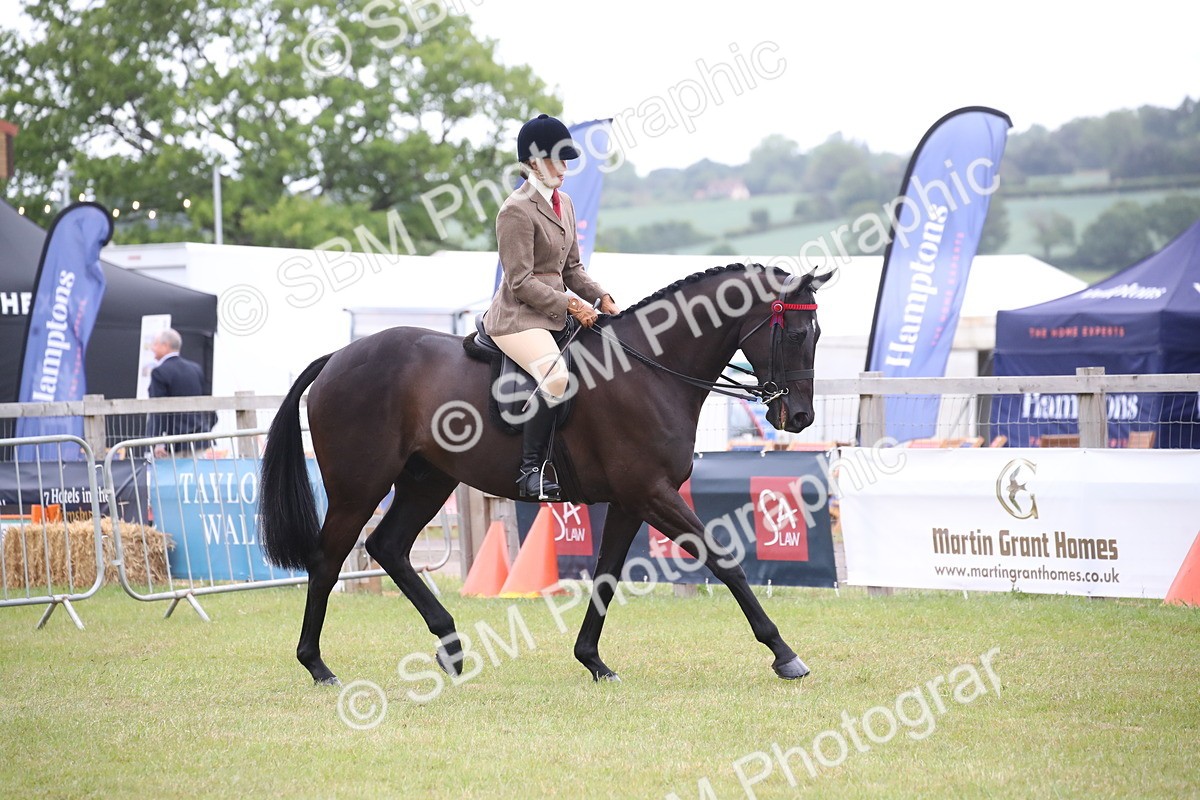 SBM_11395 - Class 94 - LIHS BSHA Racehorse to Showhorse