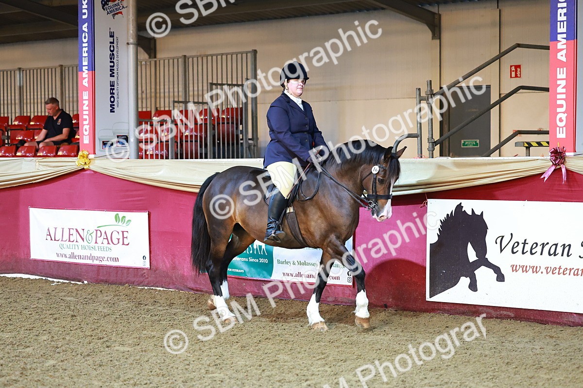 SBM_14667 - Class C - Novelty champ