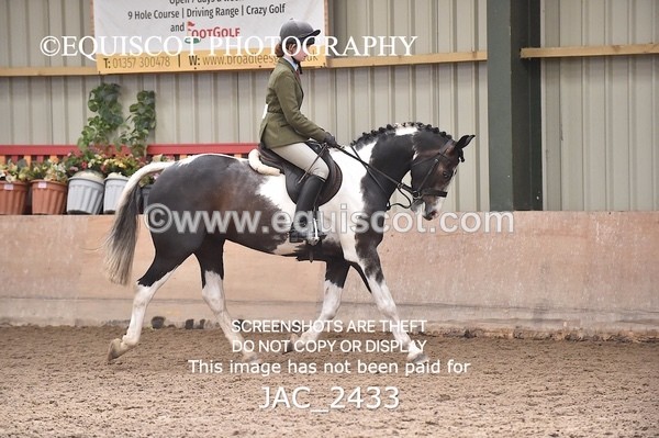 JAC_2433 - CLASS 3 Intermediate Working Hunter