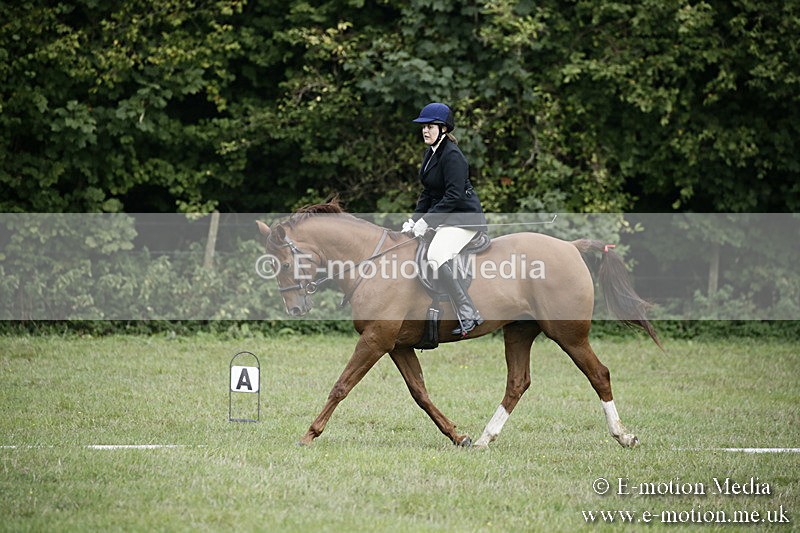 BVR090918 18 - BVRC Dressage and Show Jumping 09/09/18