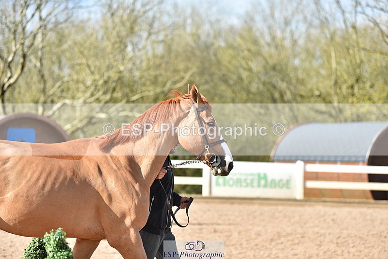 240417A-170554-01361 - 4pm to Finish