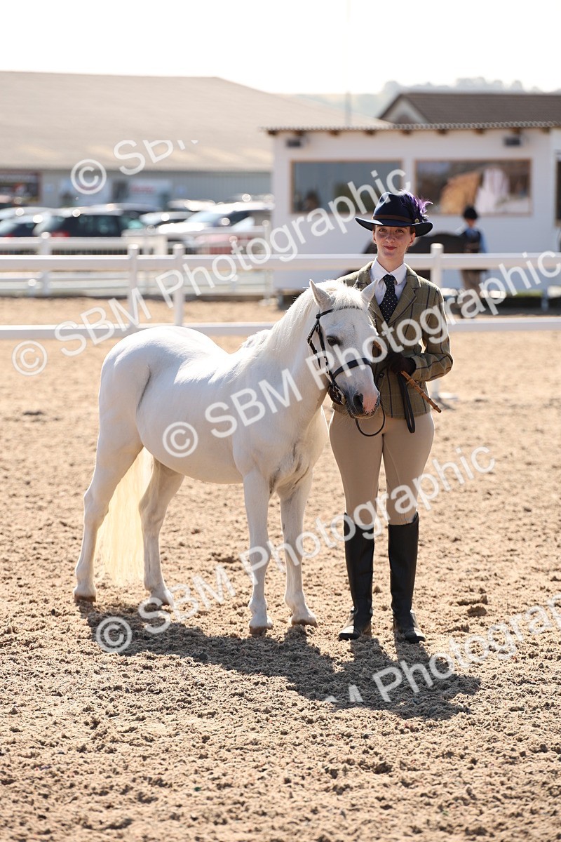 SBM_02738 - Class 16 IH M&M Wildcard