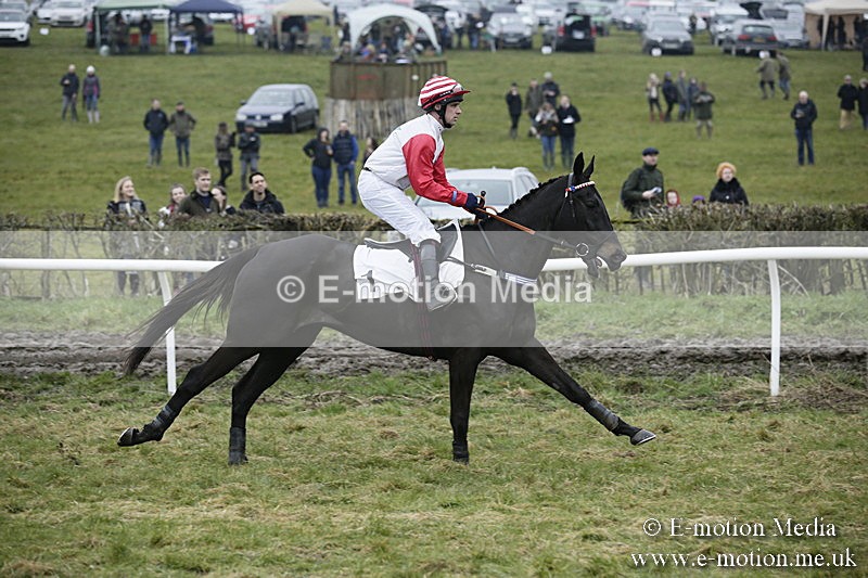 PtP 020418 -31 - Old Berks Point-to-Point Races Easter Monday 02/04/18