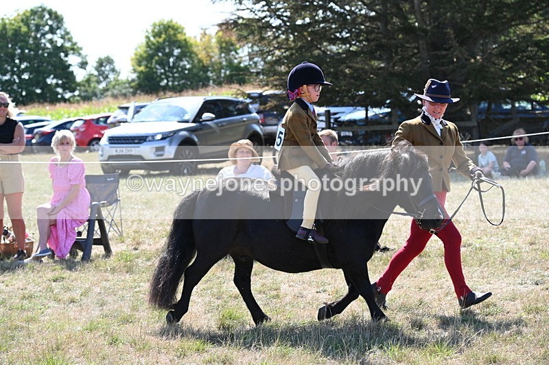 WJ6_7727 - Class 36 Lead Rein