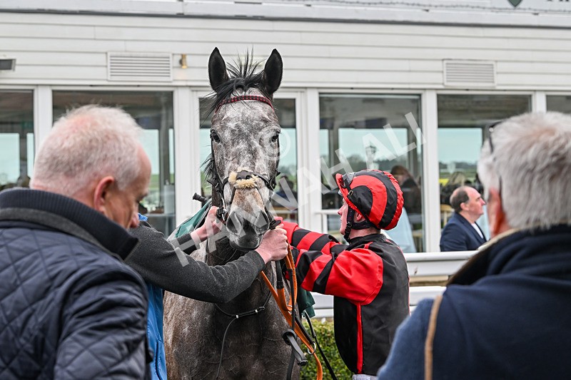 090425-Race 3-Stellarmasterpiece-9856 - Race 3