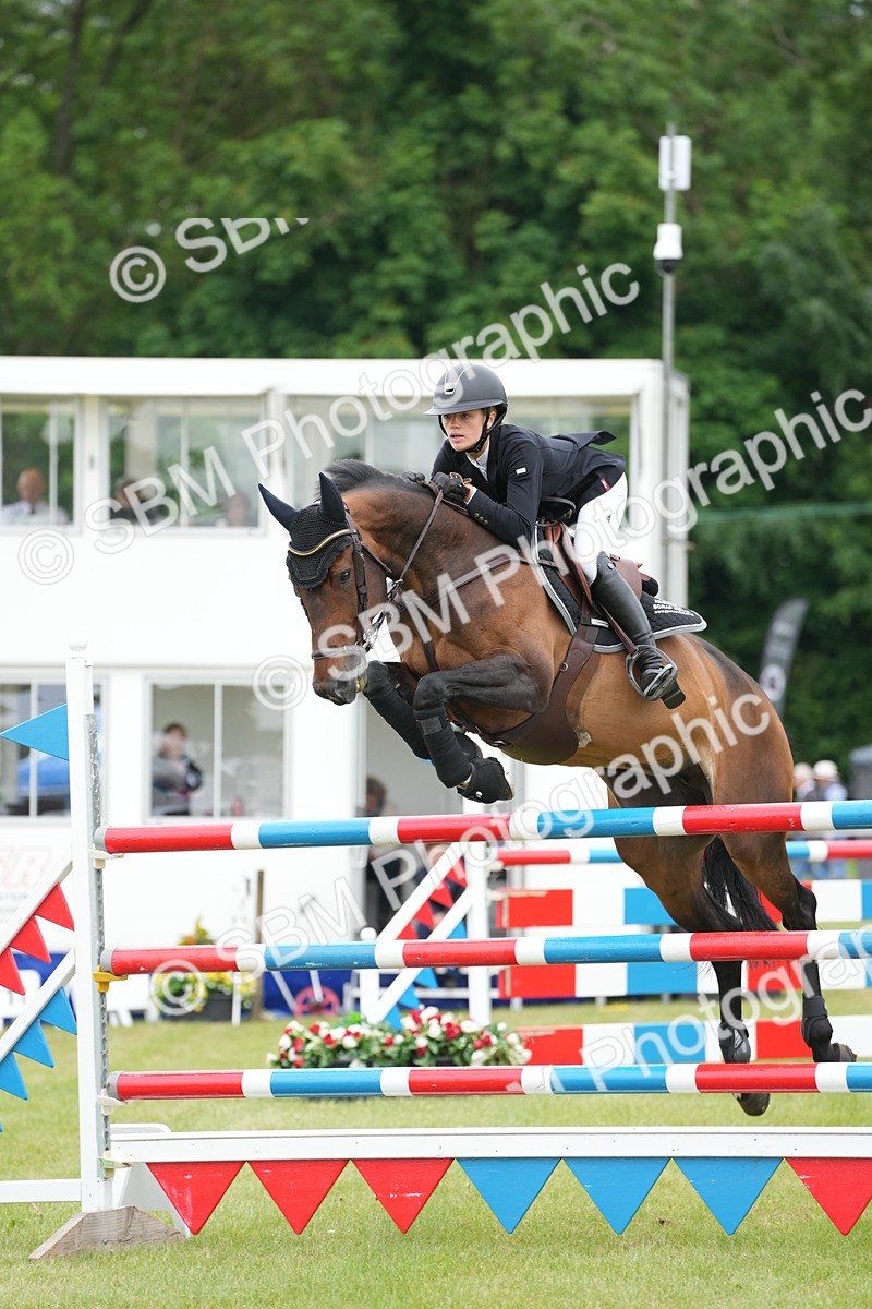 SBM_05201 - Class 201 - British Horse Feeds Speedi Beet Horse of the Year Show Grade  C