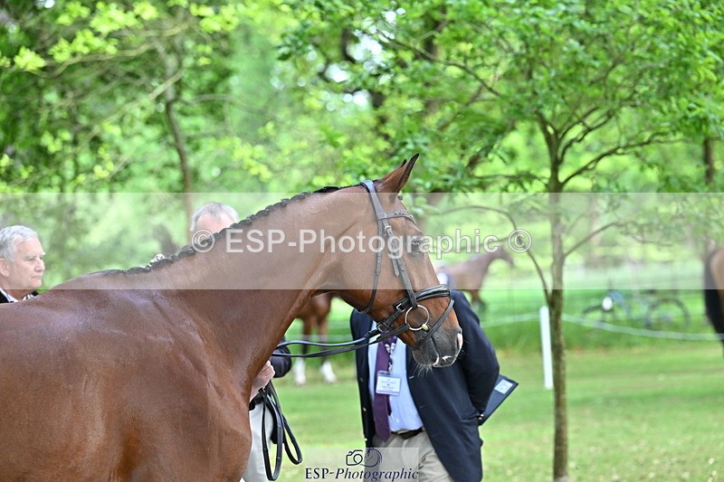 250521A-151032-00316 - B-352-Samantha.Lissington-MALIBU.TS