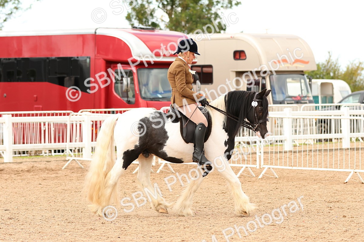 SBM_15648 - Class 215 - Ridden Traditional - Native Cobs