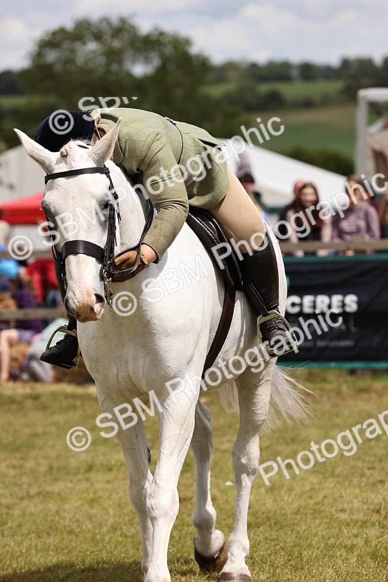 SBM_14822 - Class 88-89 - LIHS BSHA Rising Star of Ridden Hunter Type