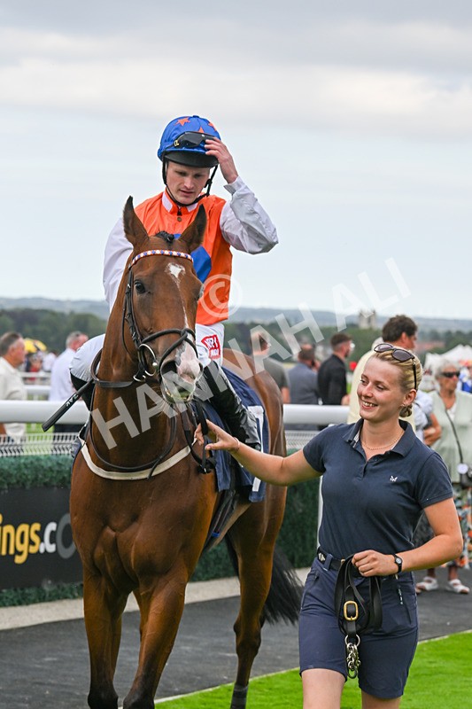 140824-Race 7-Willolarupi-7182 - Race 7