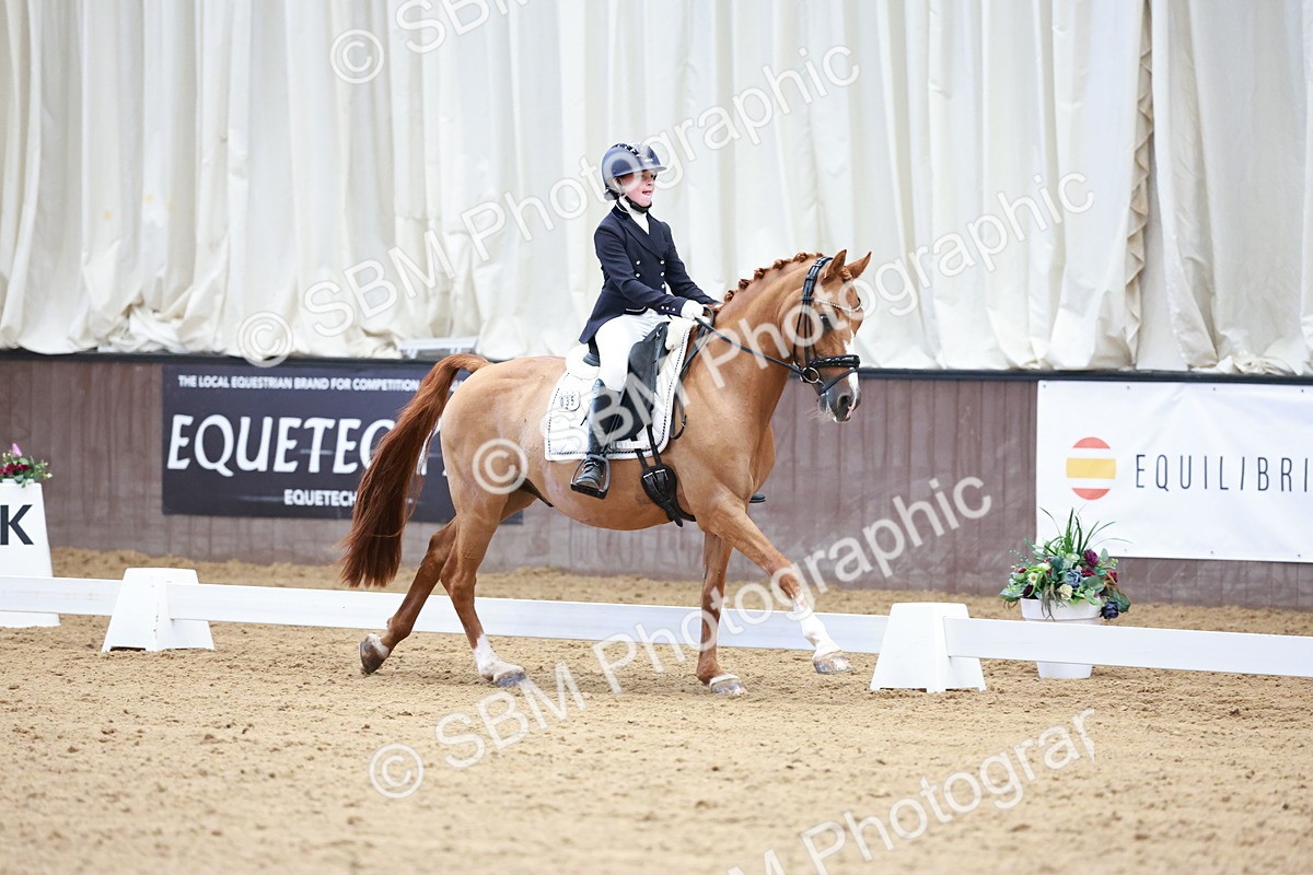SBM_017077 - Class15 - FEI Pony