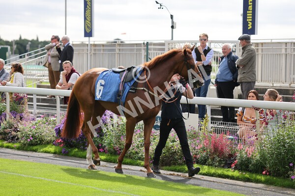 yr24092021r1-48 - Race 1 1.10pm Ernest Cooper Macmillan Ride of Their Lives