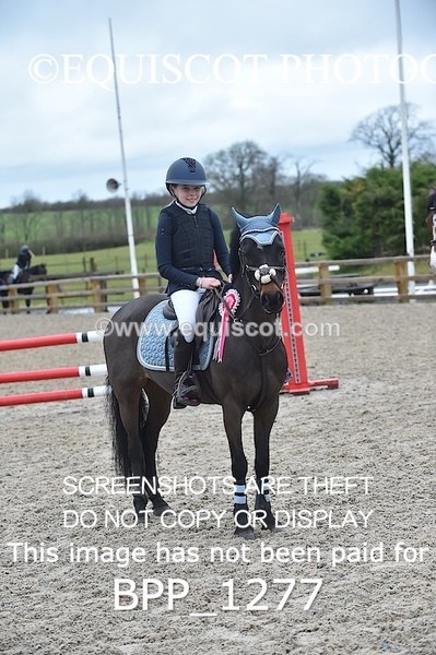 BPP_1277 - CLASS 4 Club/ Unaffiliated 80cms Open