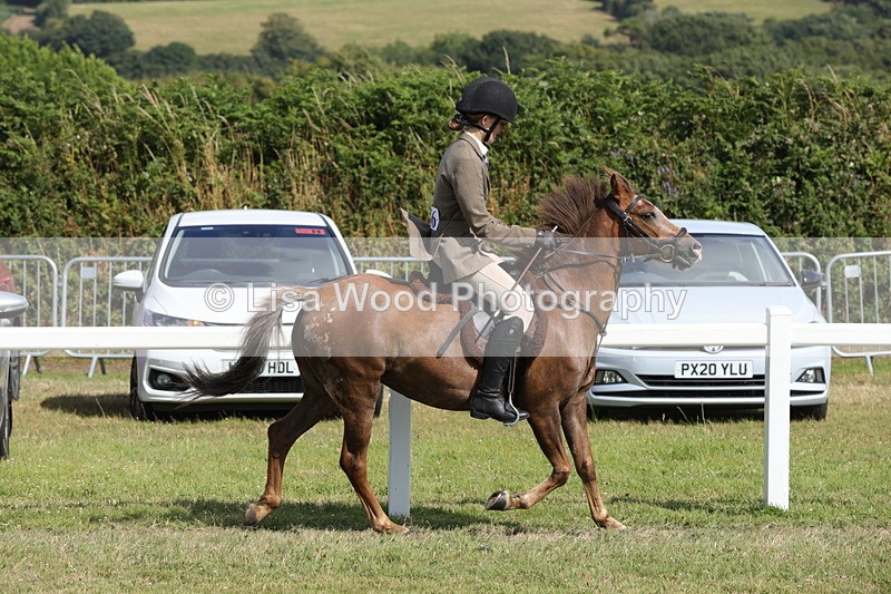 1X9A5668 - Class 40: NPS Welsh A & B