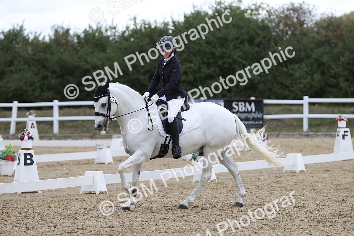 SBM_003999 - Class 9 - Novice 3 Champs