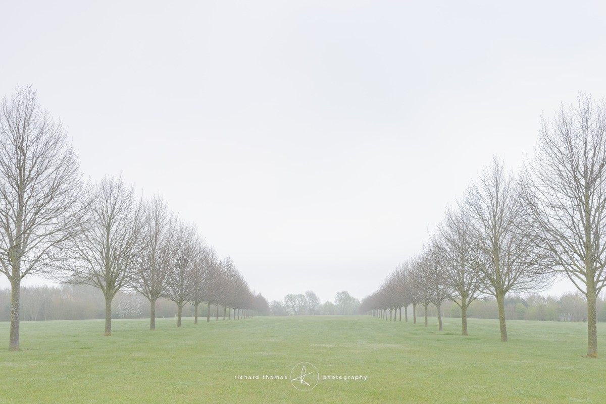 Lime Concourse - Order