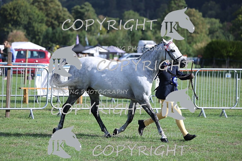 APP_2553 - Class 18 Young Handler