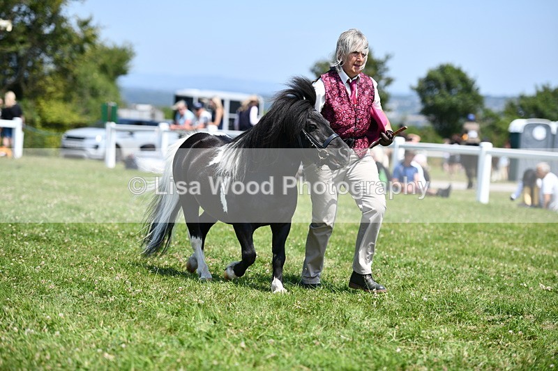 DSC_7728 - Class 64: Coloured Pony 4yrs & over