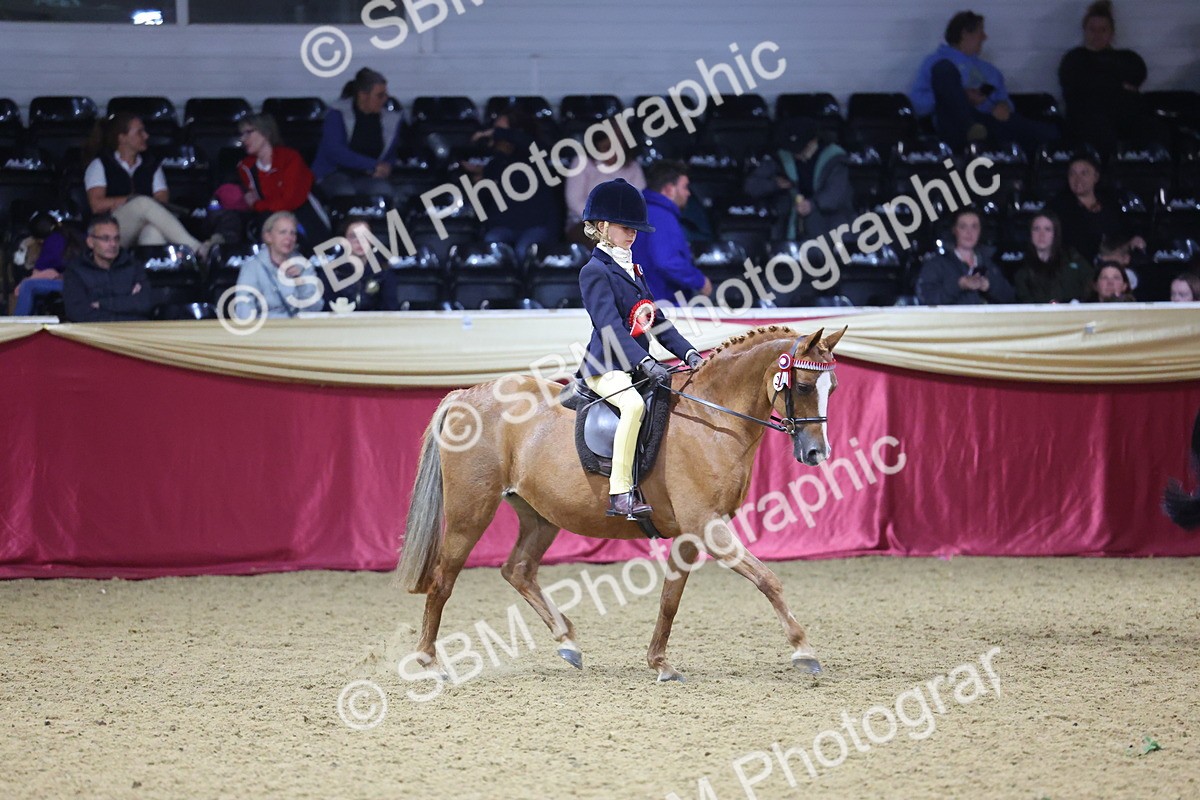 SBM_18983 - Class G Ridden Pony Champ