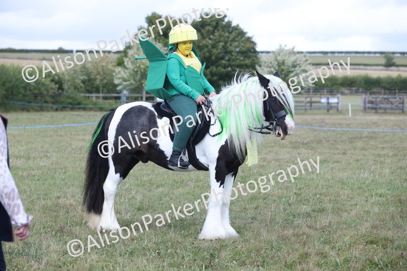 20250831-3550 - Class 26 - Fancy Dress