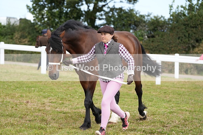 DSC05844 - Class 51: NPS M&M 4 years and over Large Breeds