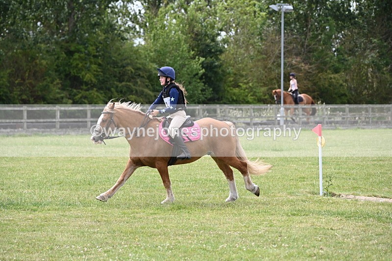 WJ6_6950 - 80cm XC Pairs