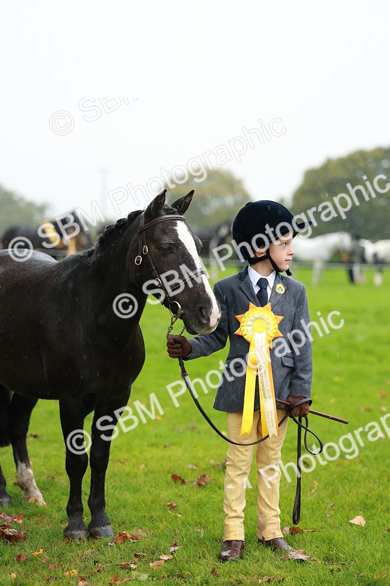 SBM_34957 - S10 - Best In Hand Horse & Pony