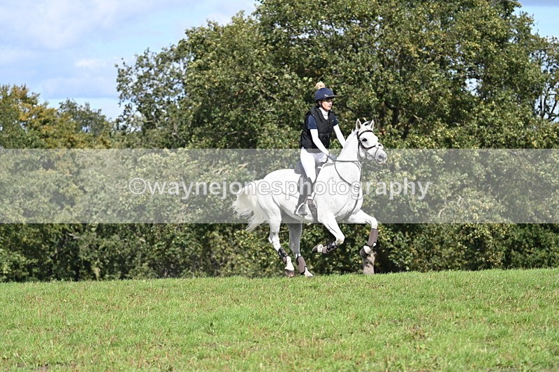 WJ7_2137 - Time 13:17 to 13:53