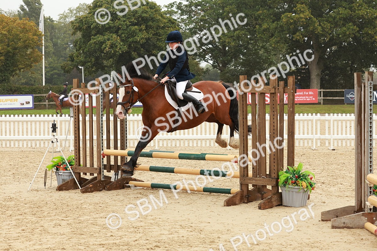 SBM_71284 - J14 - Junior Pony 65cm Championship