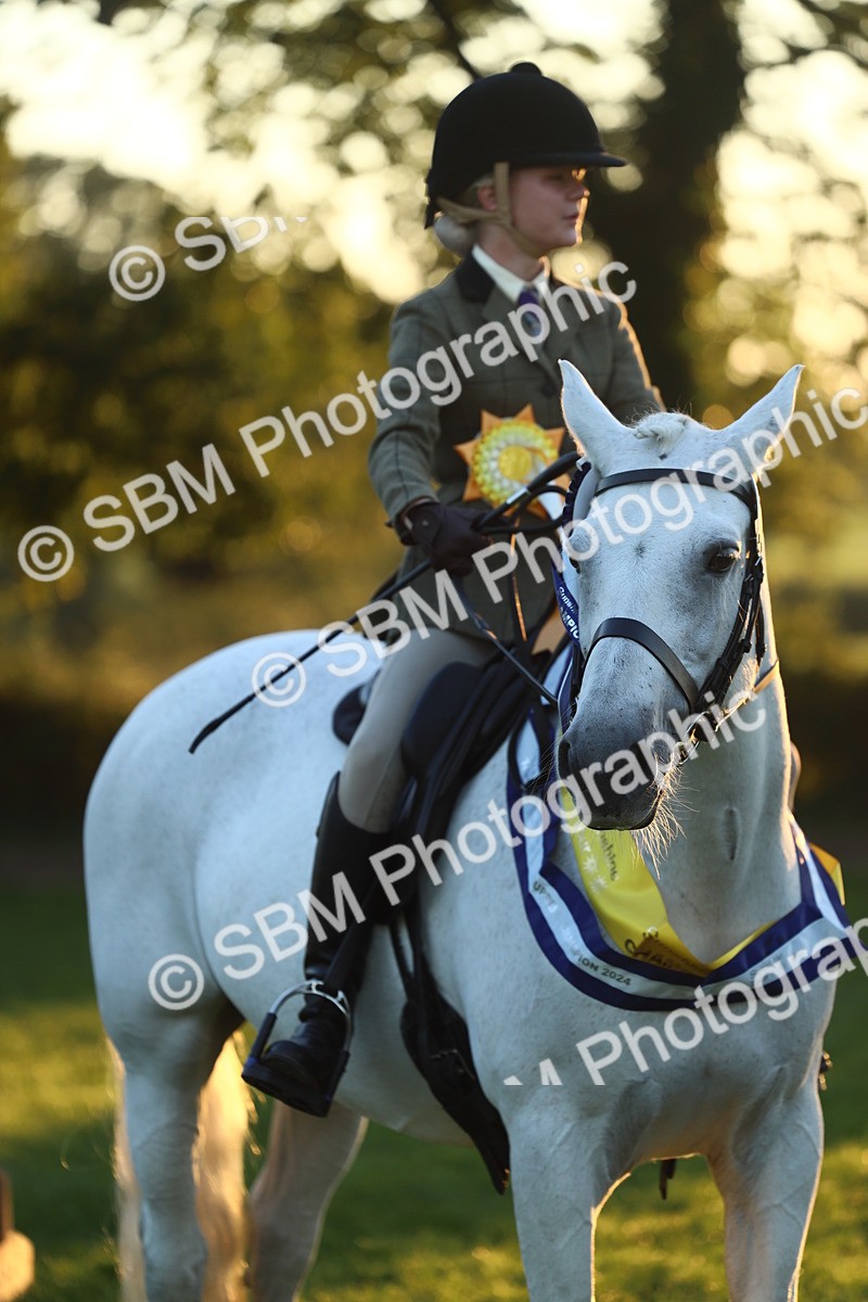 SBM_56681 - Fun & Versatile Supreme Championship