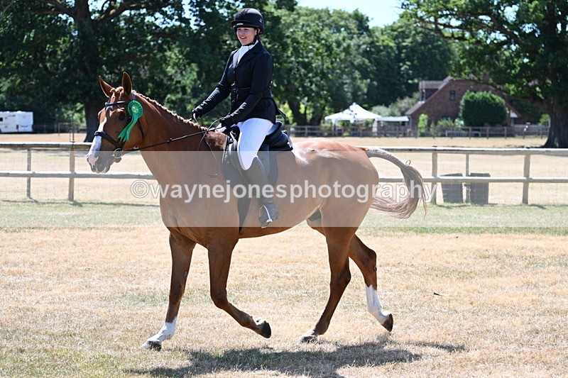 WJ7_3210 - Class 7 Riding Club Show Horse