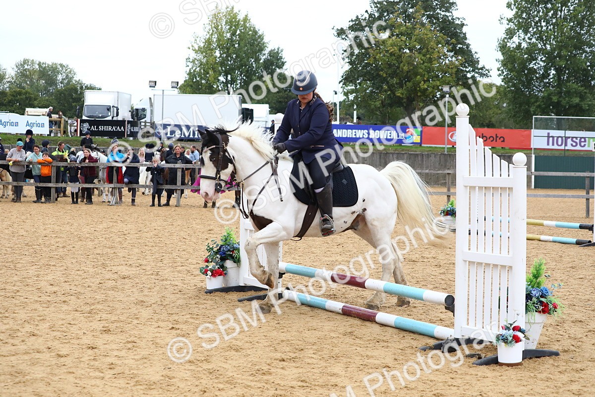 SBM_68073 - J3b - Mini Tour Junior Pony 40cm Championship