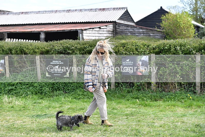 WJ5_0731 - Best in Show Championship